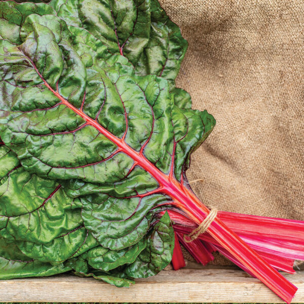 Swiss Chard