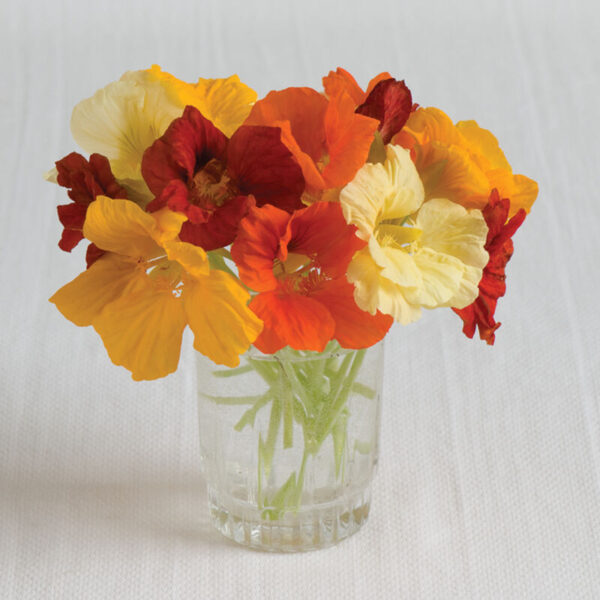 Nasturtium Jewel Mix